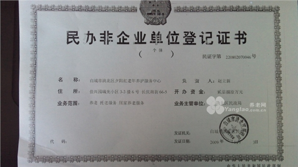 owl image