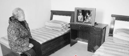 owl image