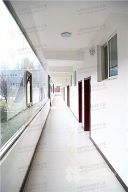 owl image