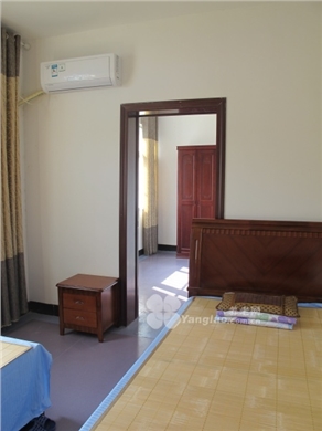 owl image