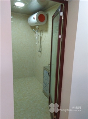 owl image