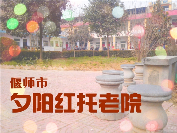 owl image