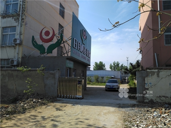 owl image