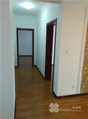 owl image