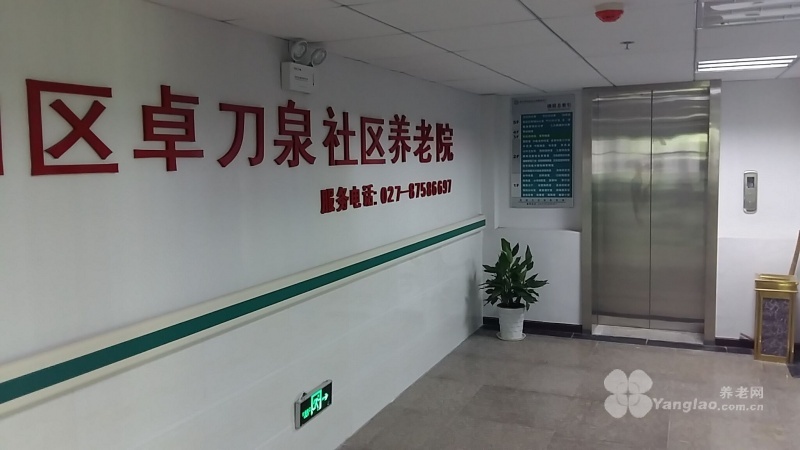 
              洪山区卓刀泉社区养老院                            