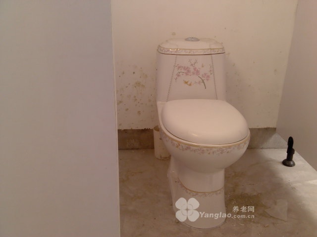 
              泰康养老院                            
