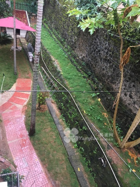 
              海口振东（米铺）老年公寓                            