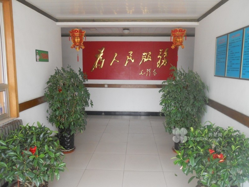
              大城县老年公寓                            