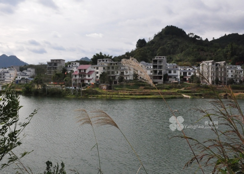 
              巴马汇福中医村                            