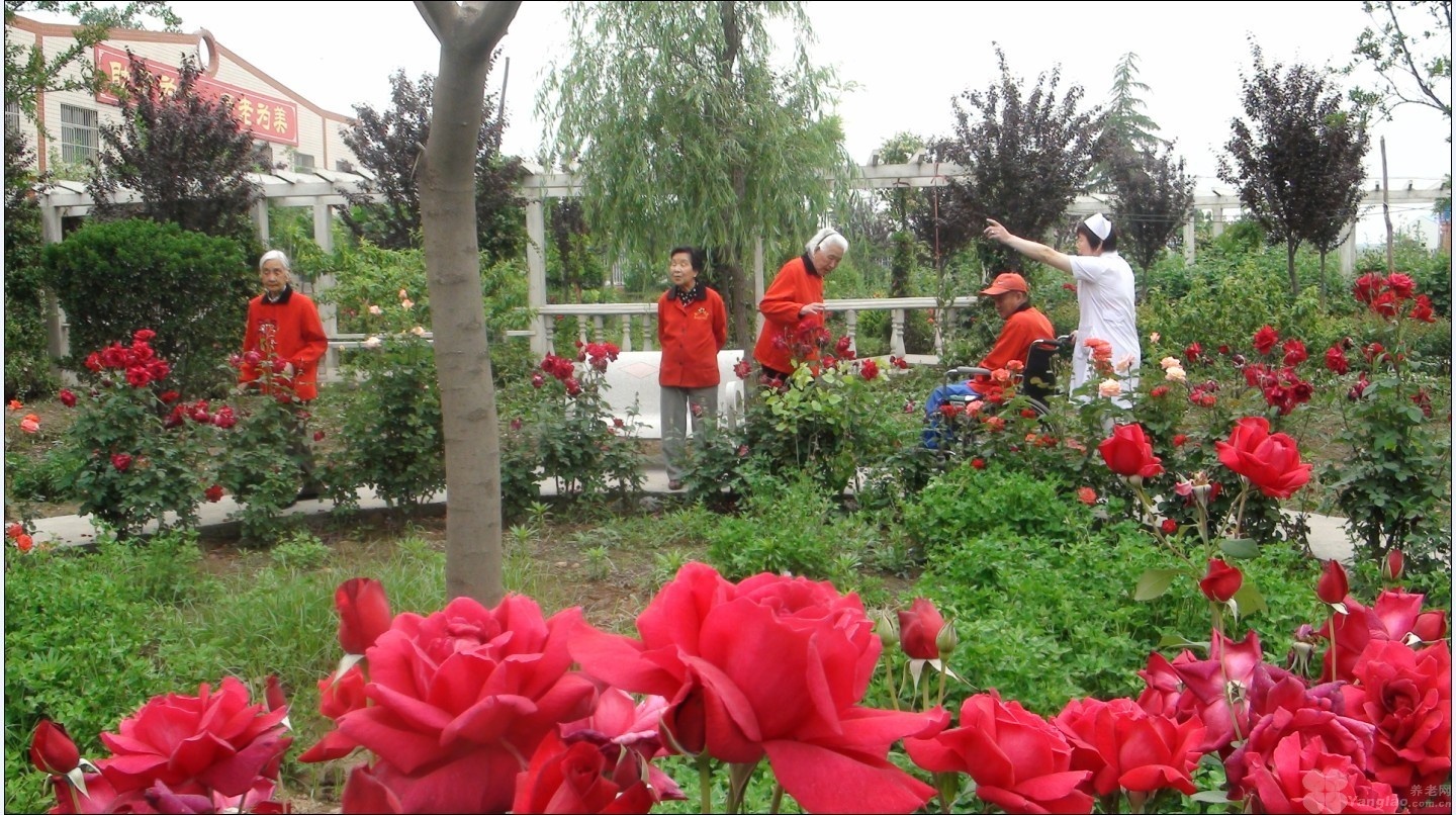 
              陕西西咸新区沣东新城王寺敬老院                            