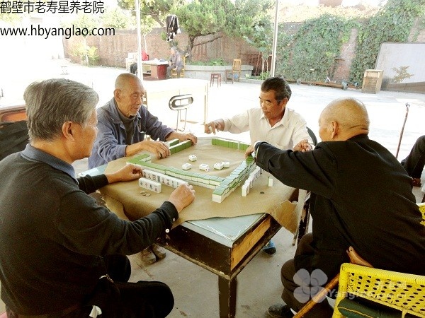 
              鹤壁市老寿星养老院                            