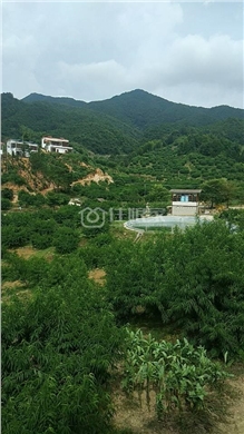 山顶别墅