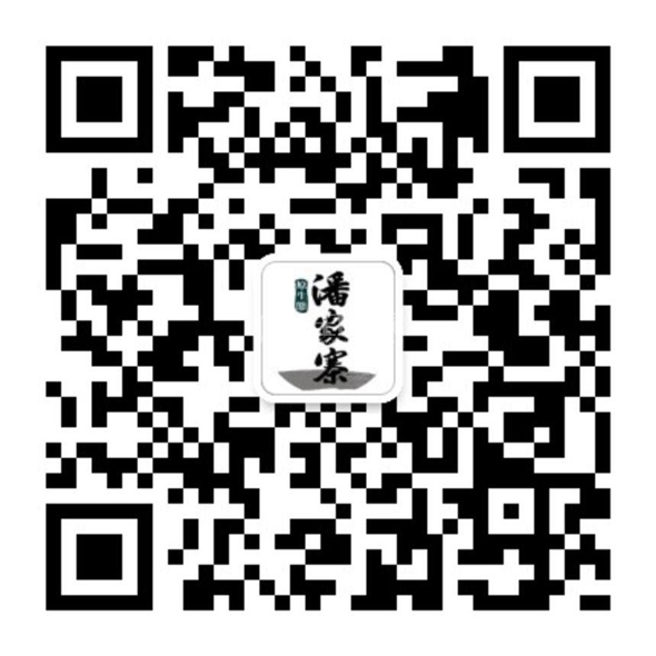 owl image
